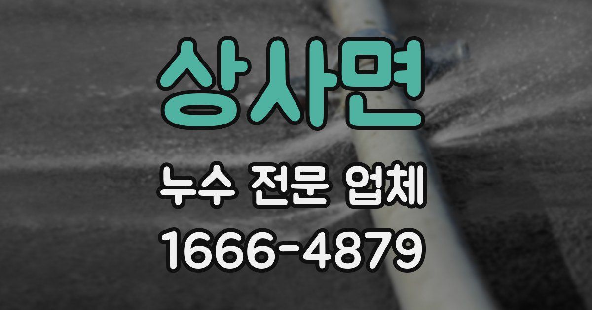상사면 누수 전문 업체