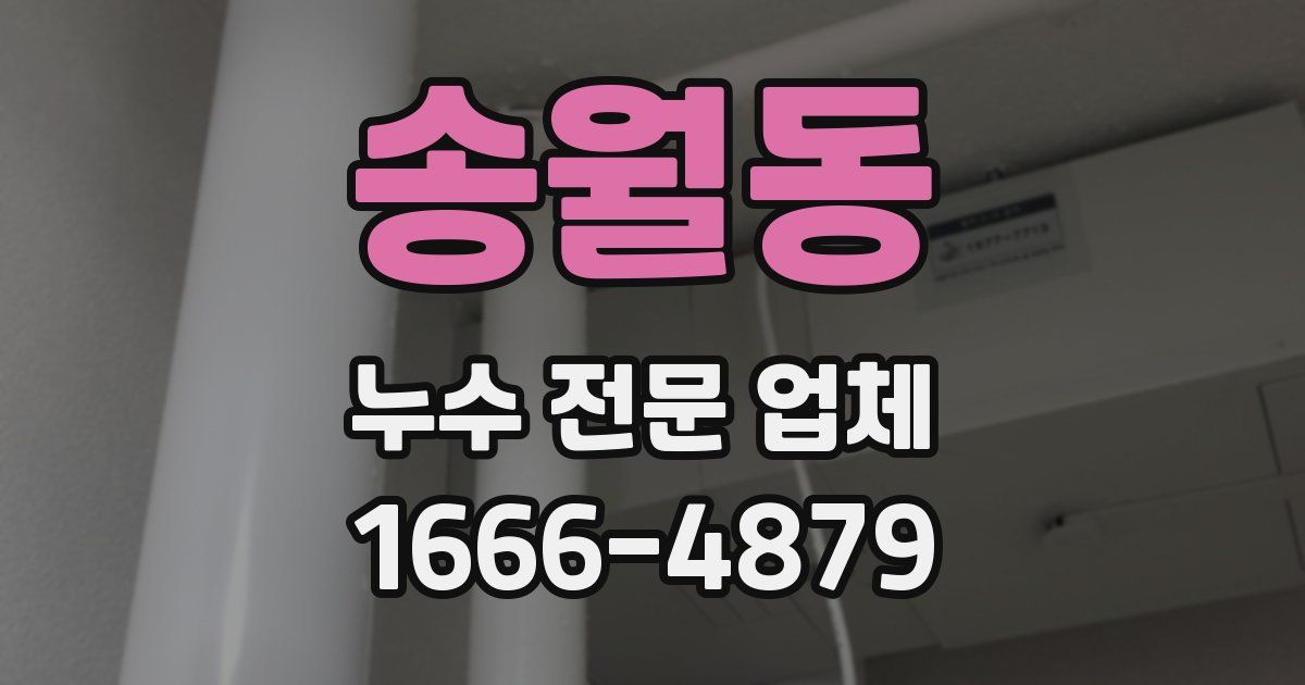 송월동 누수 전문 업체