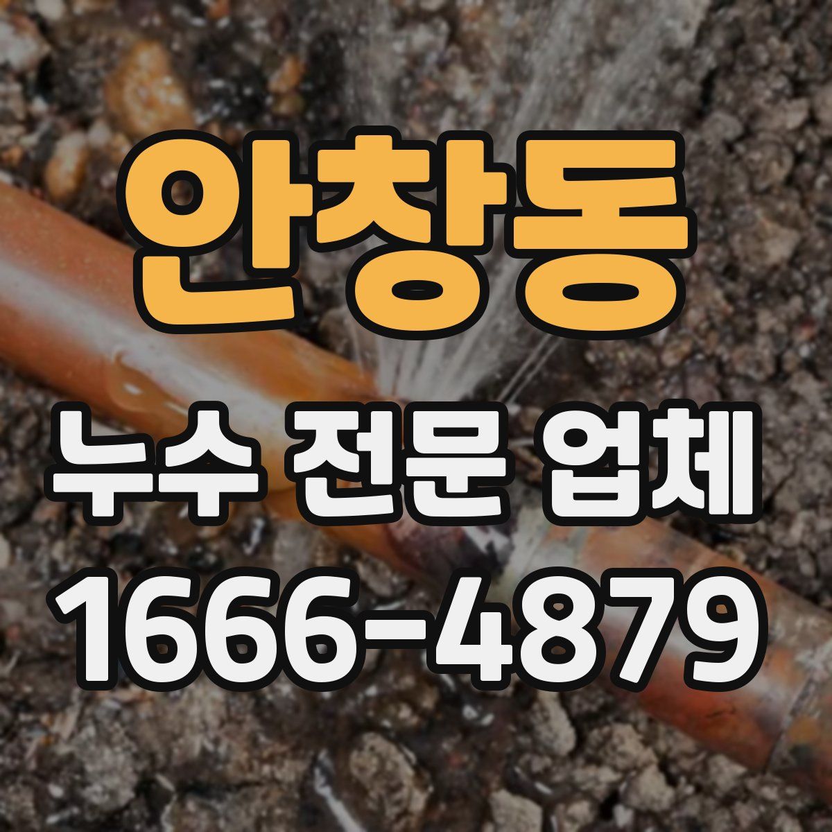안창동 누수 전문 업체