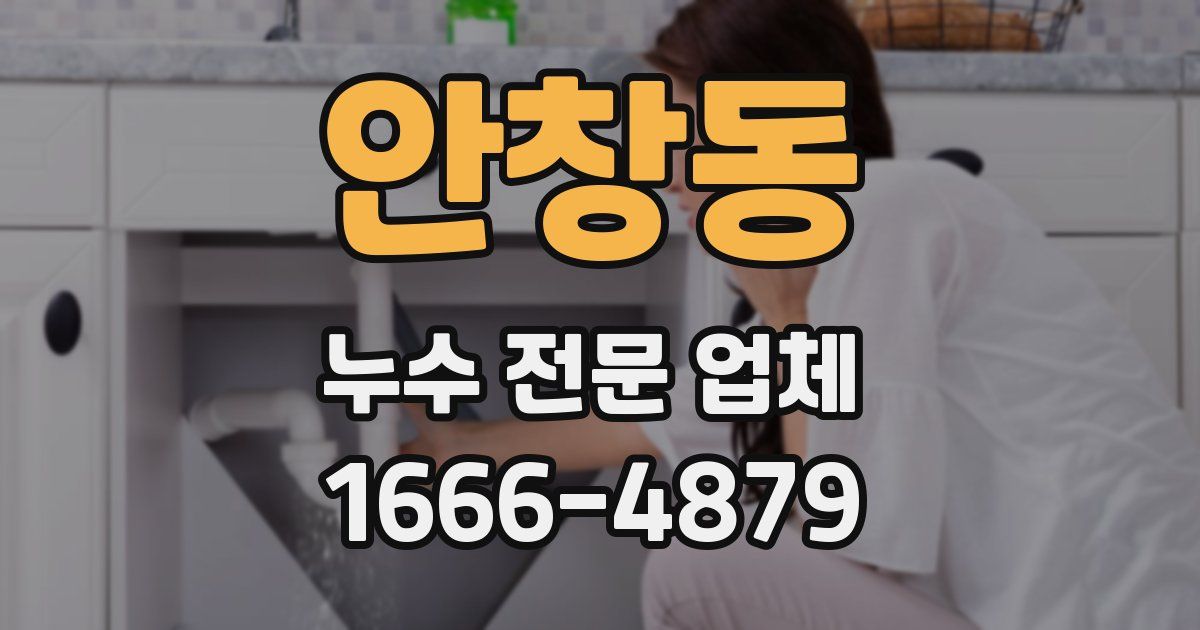 안창동 누수 전문 업체