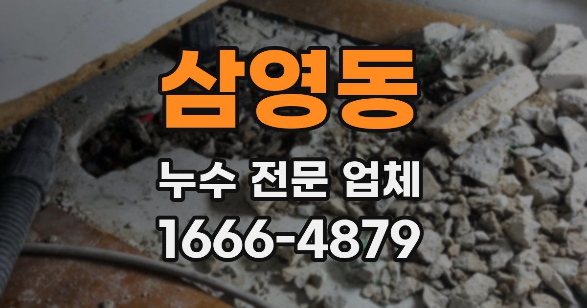 삼영동 누수 전문 업체