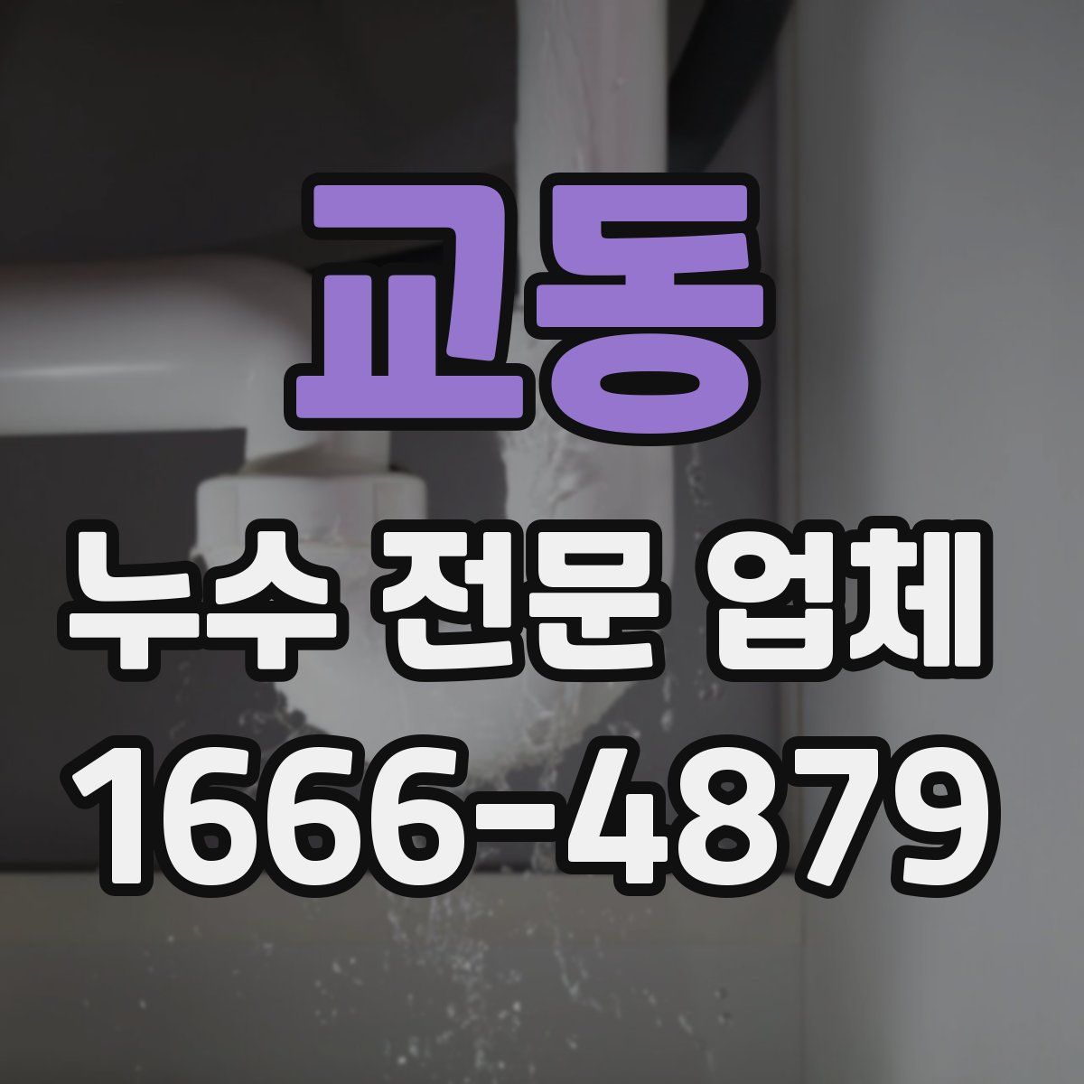 교동 누수 전문 업체