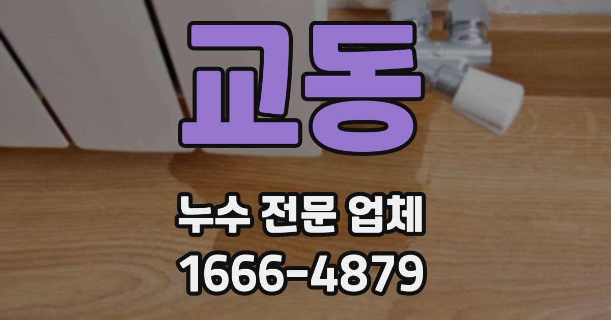 교동 누수 전문 업체