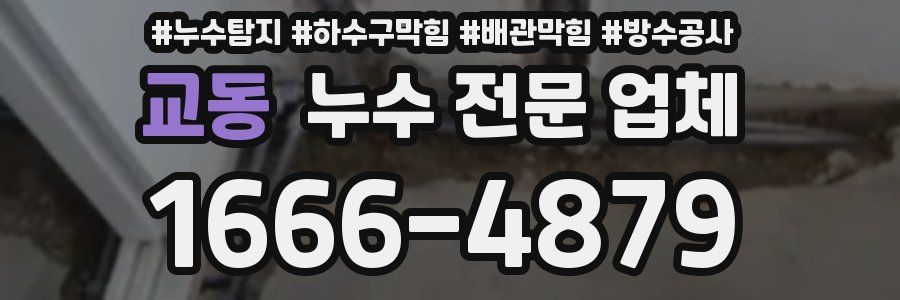 교동 누수 전문 업체