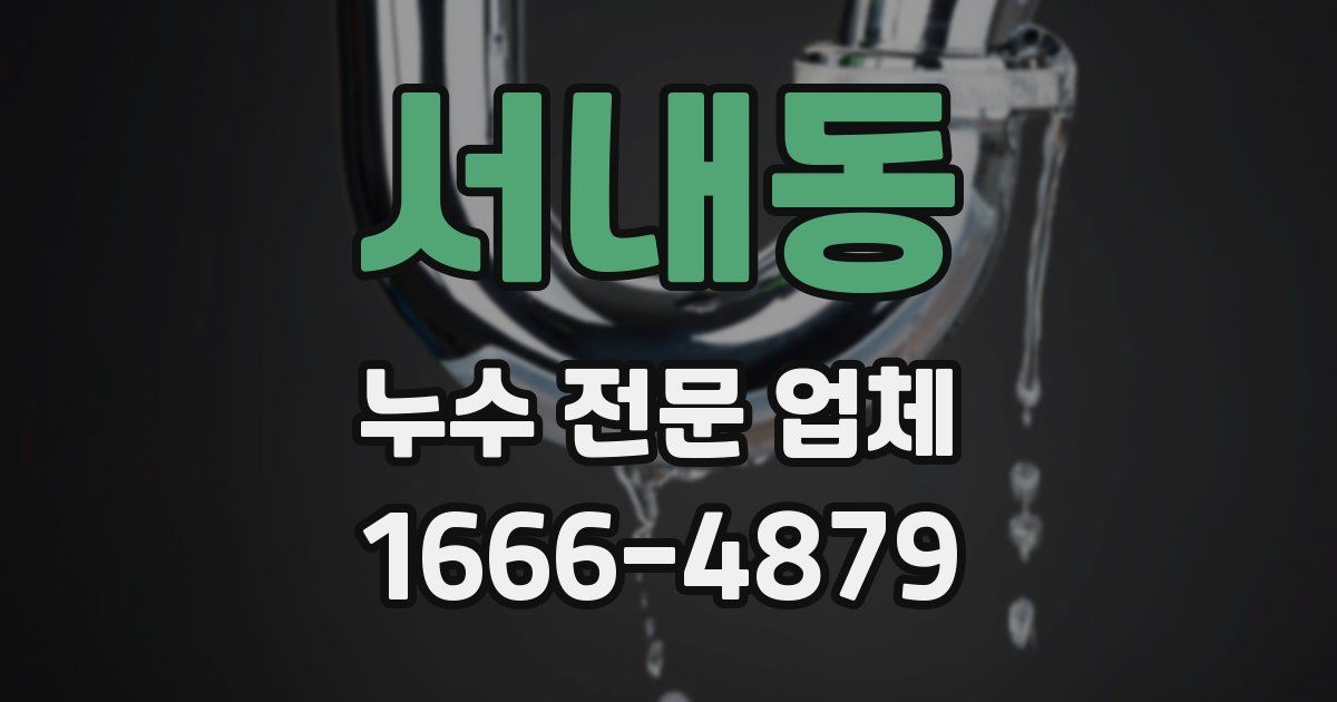 서내동 누수 전문 업체