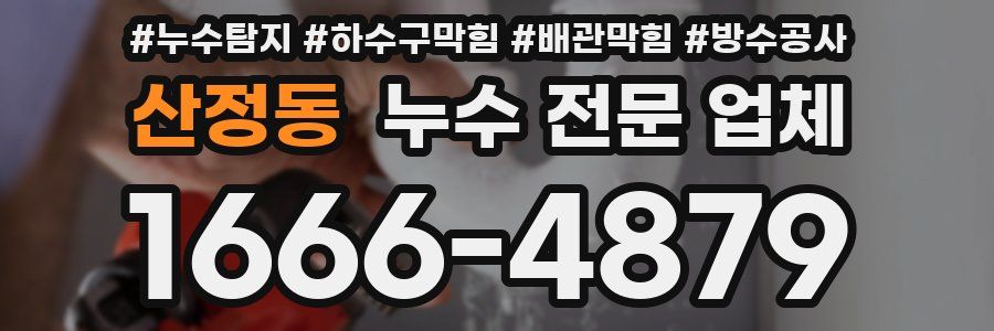 산정동 누수 전문 업체