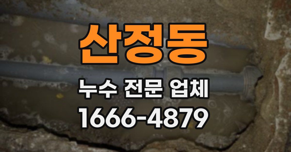 산정동 누수 전문 업체