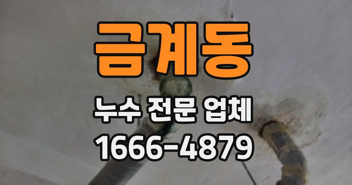 금계동 누수 전문 업체