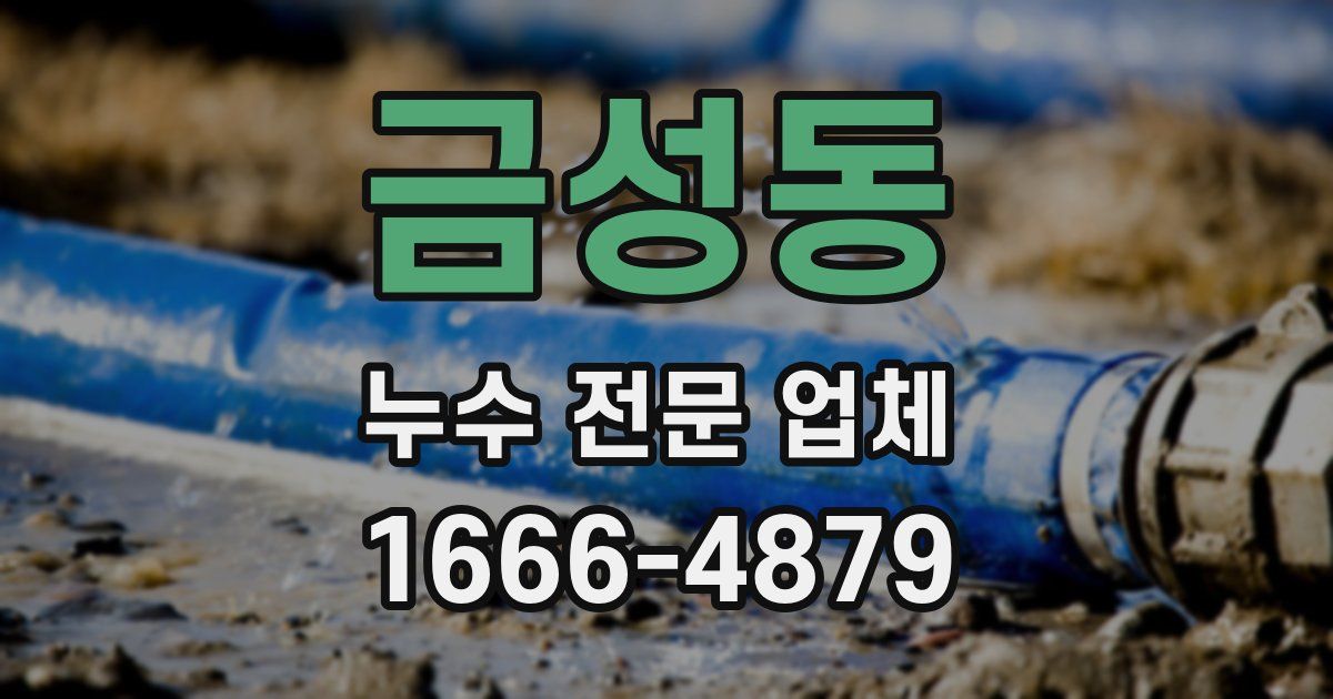 금성동 누수 전문 업체
