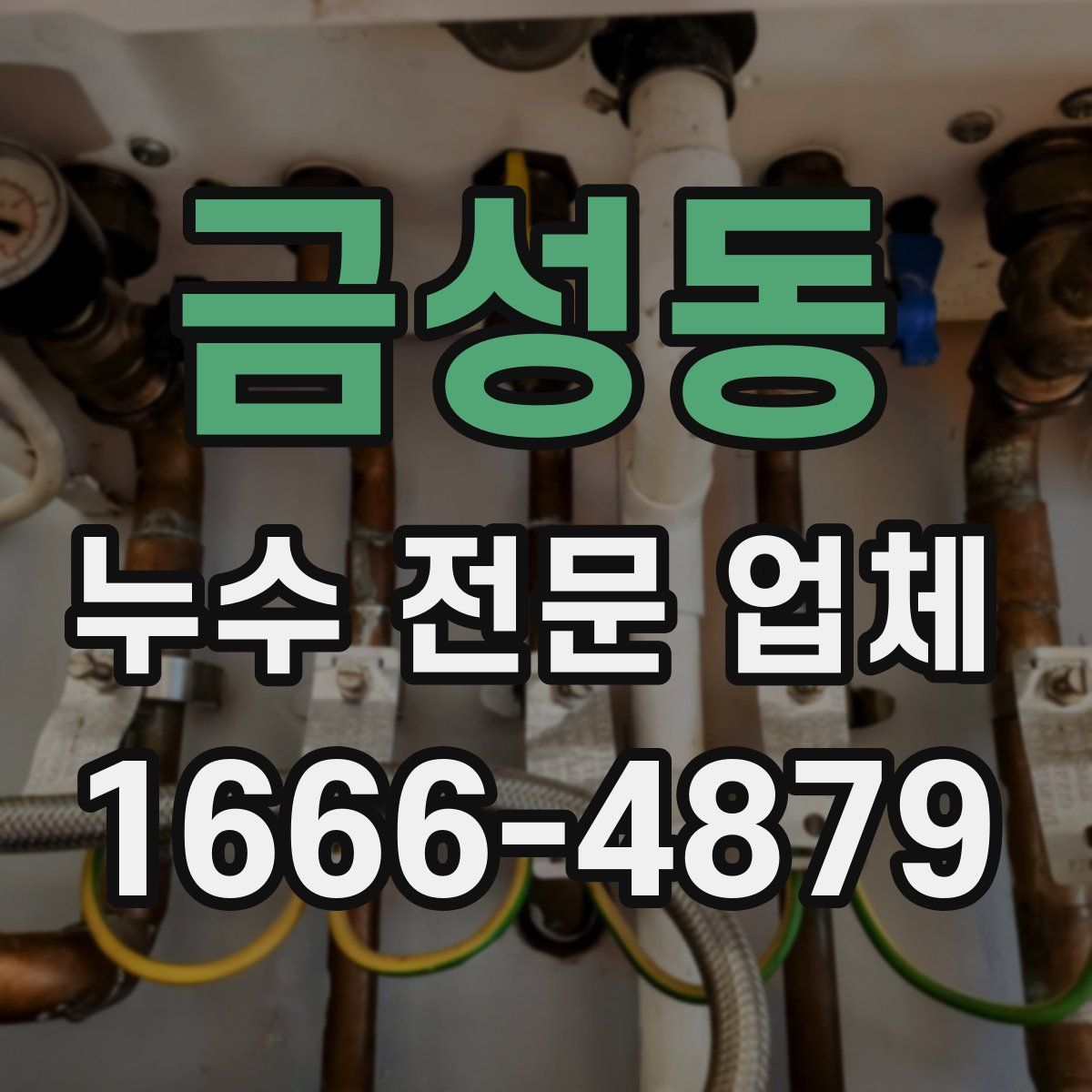 금성동 누수 전문 업체