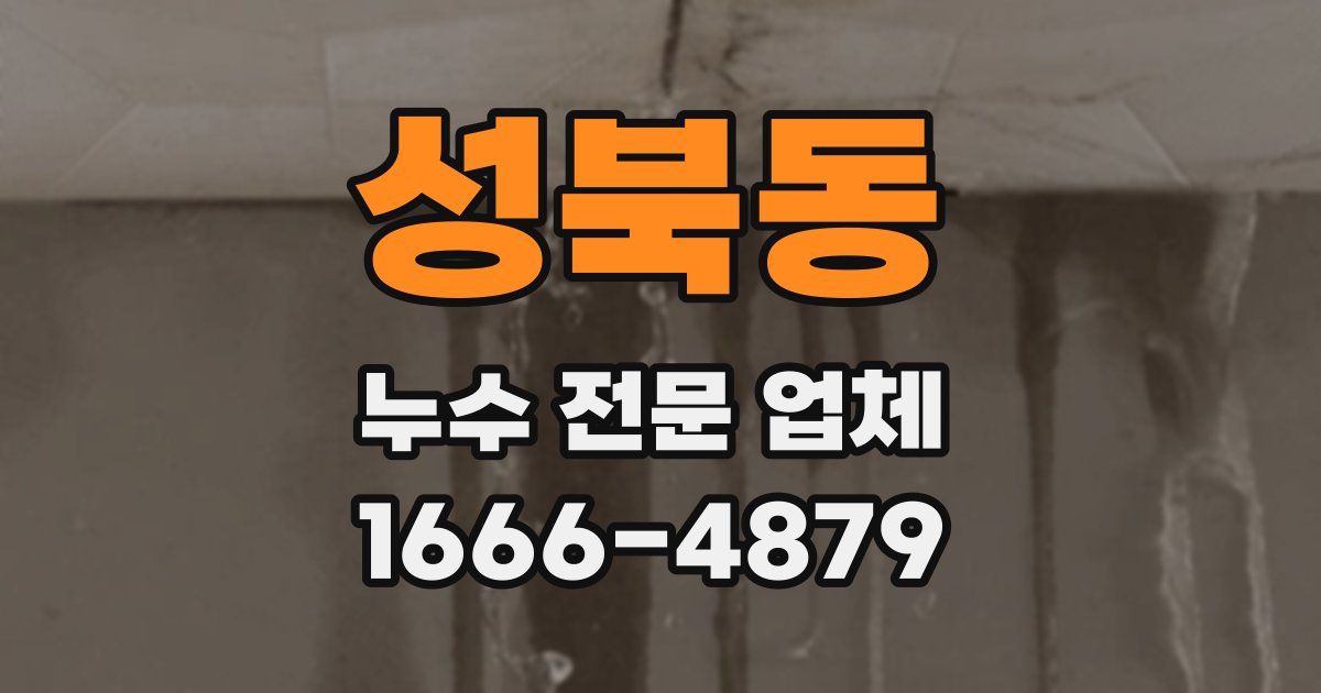 성북동 누수 전문 업체
