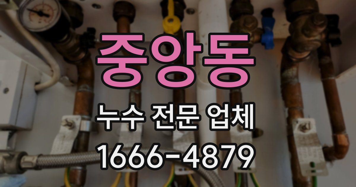 중앙동 누수 전문 업체