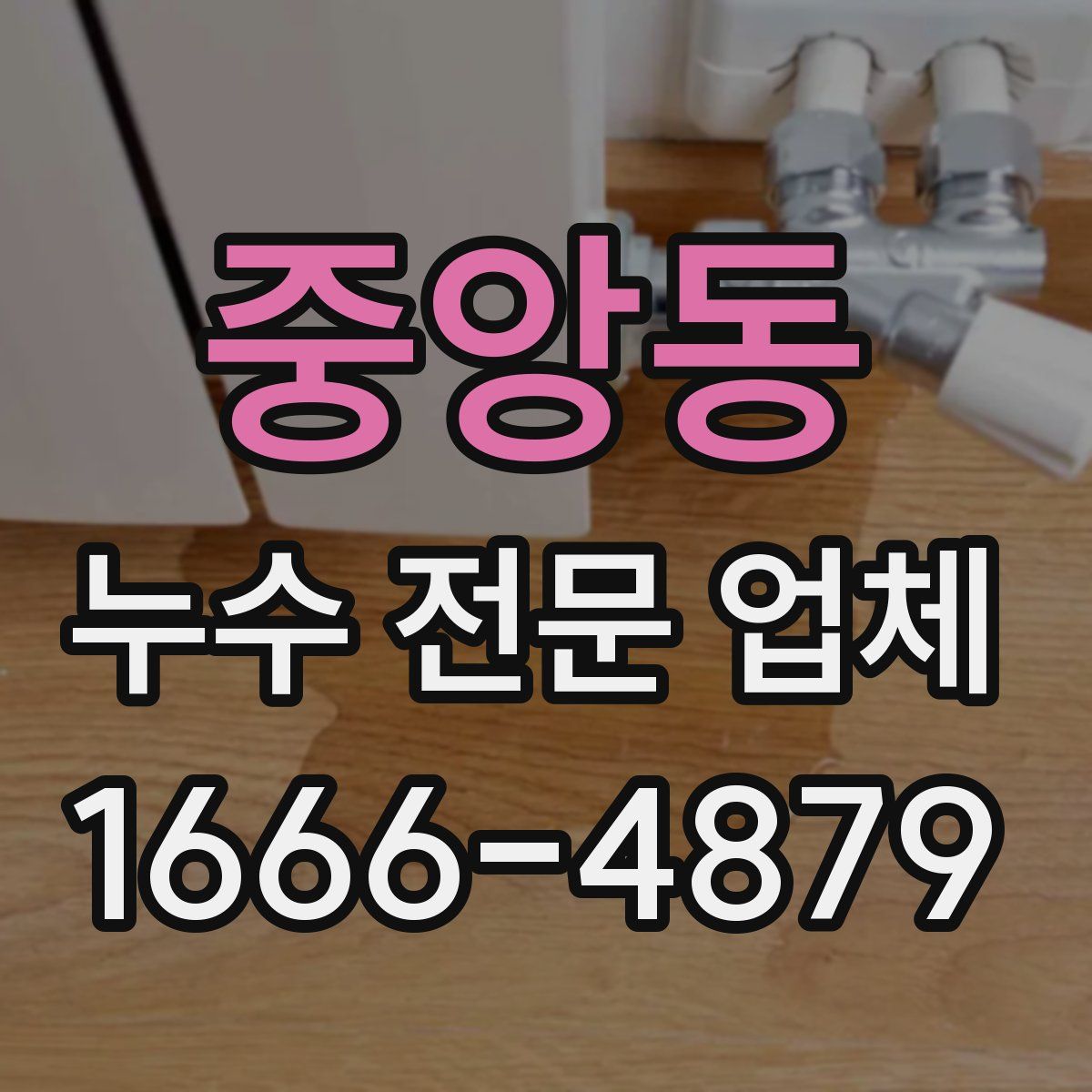 중앙동 누수 전문 업체