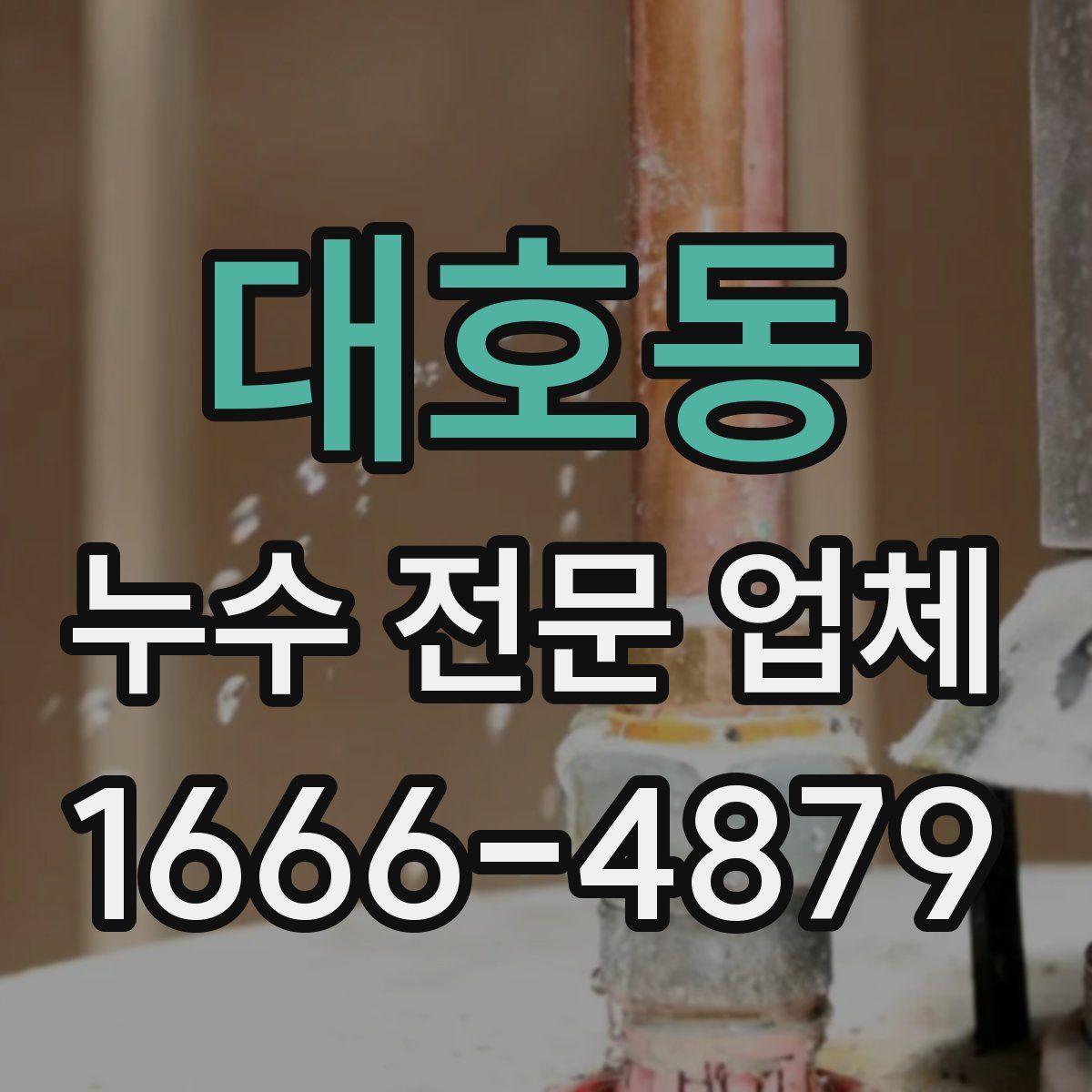 대호동 누수 전문 업체