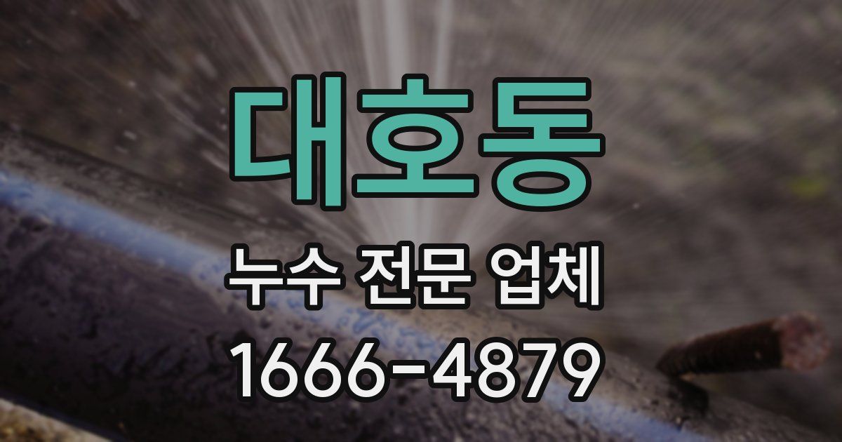 대호동 누수 전문 업체