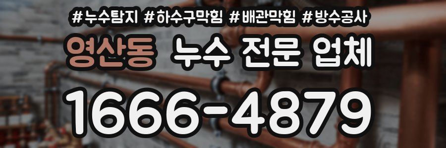 영산동 누수 전문 업체