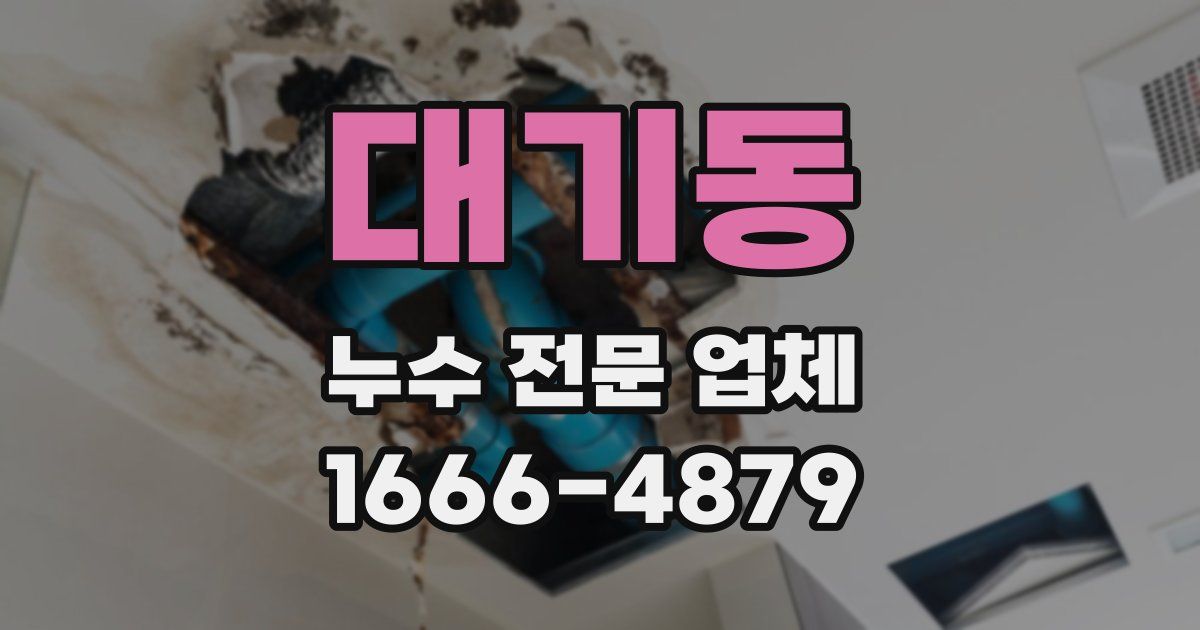 대기동 누수 전문 업체
