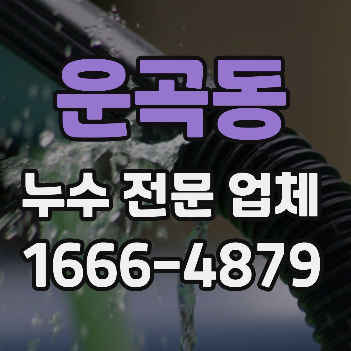 운곡동 누수 전문 업체