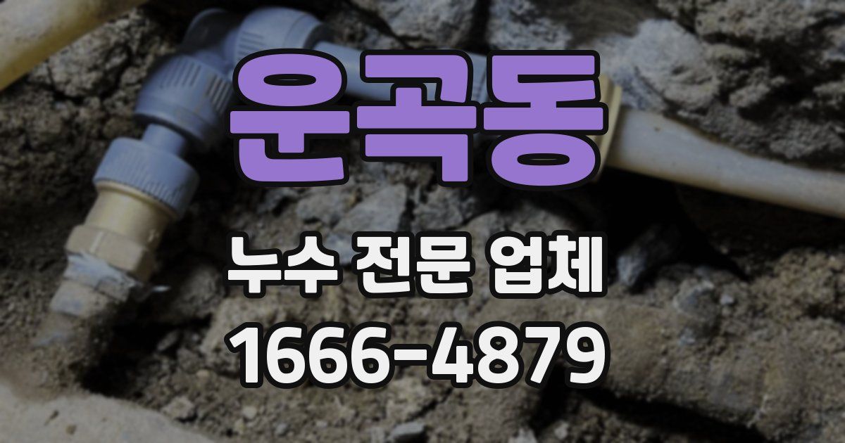 운곡동 누수 전문 업체