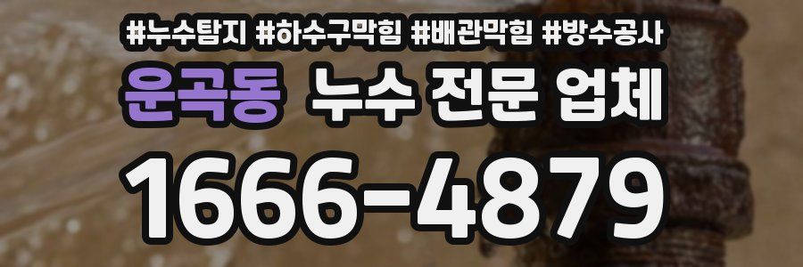 운곡동 누수 전문 업체