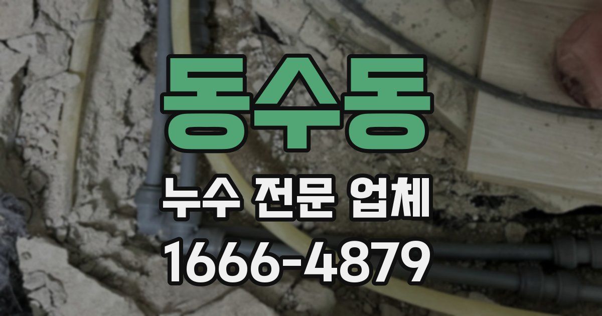 동수동 누수 전문 업체