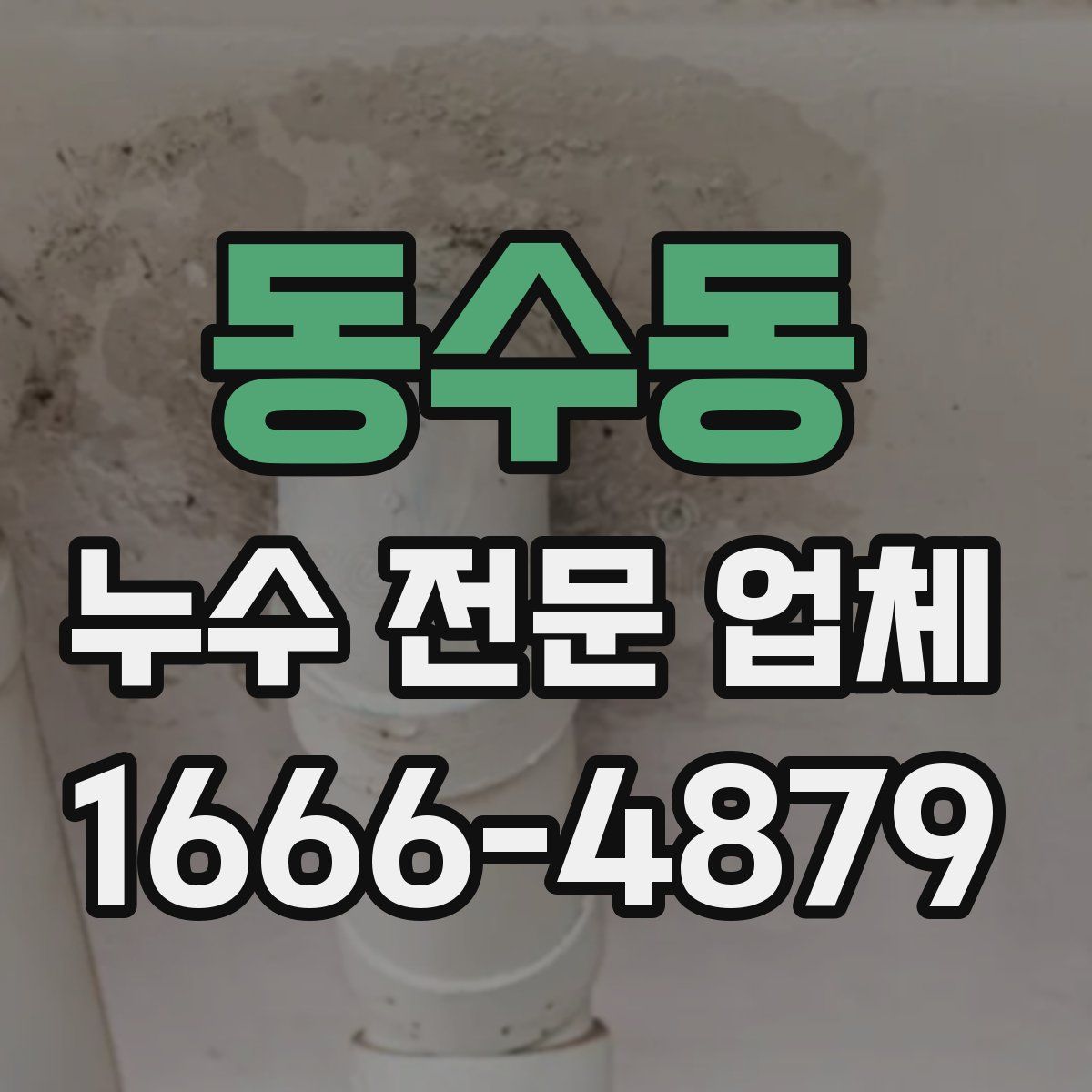 동수동 누수 전문 업체