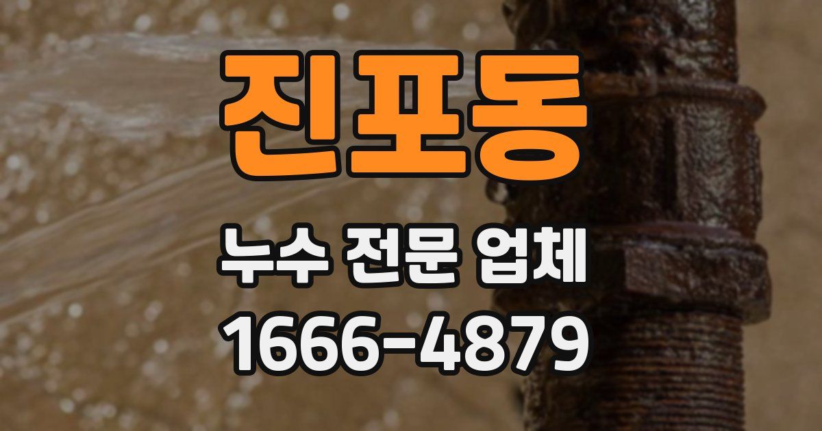 진포동 누수 전문 업체