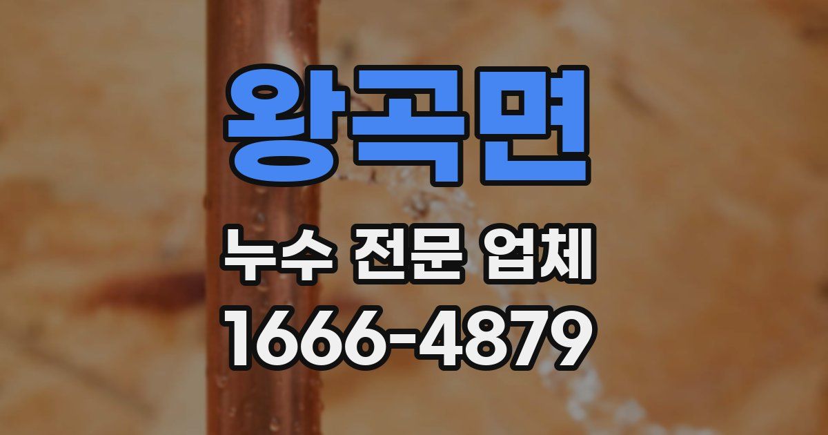 왕곡면 누수 전문 업체
