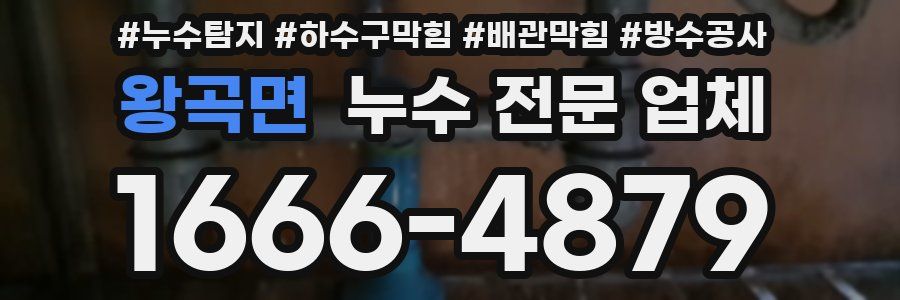 왕곡면 누수 전문 업체