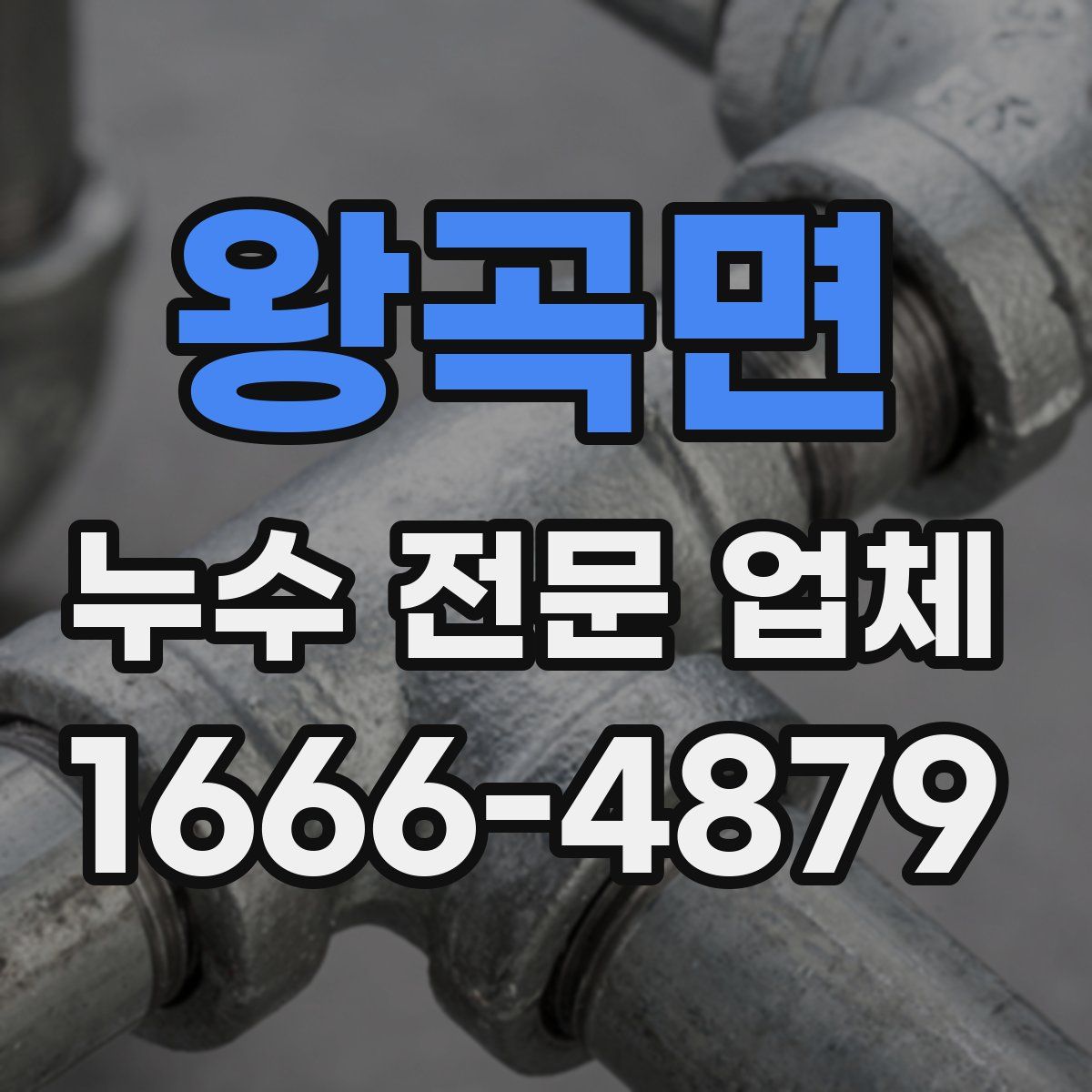 왕곡면 누수 전문 업체