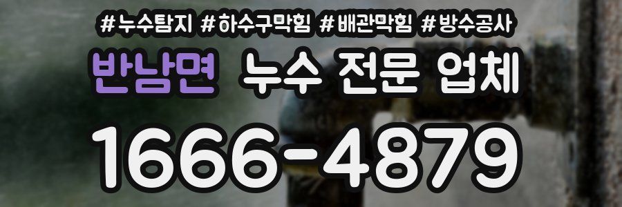 반남면 누수 전문 업체