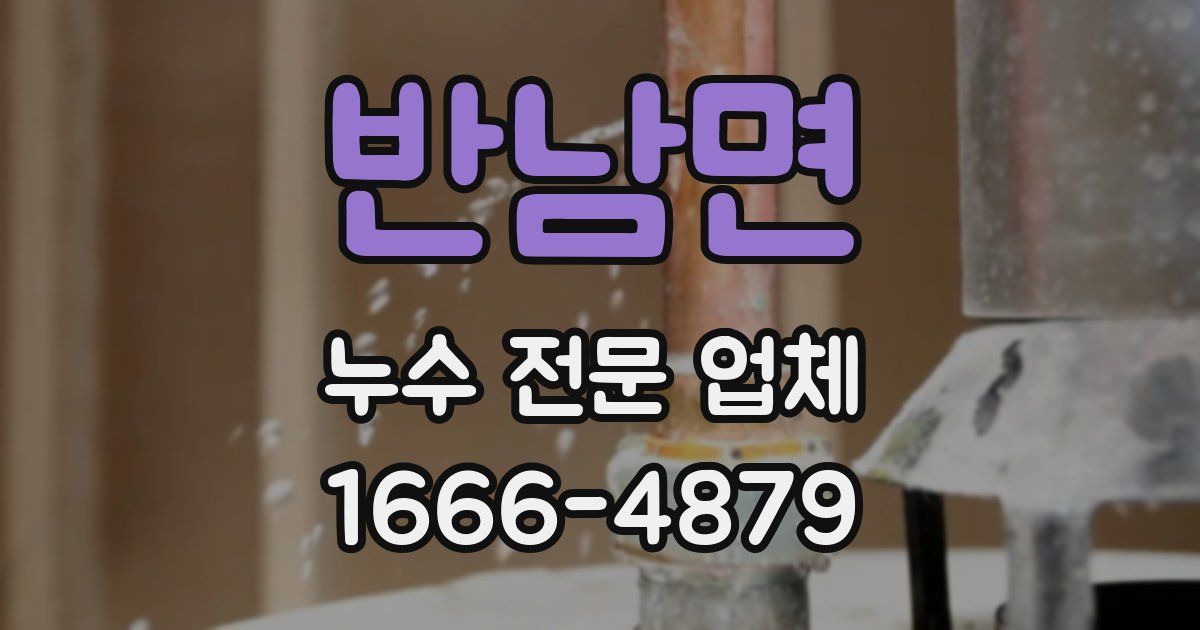 반남면 누수 전문 업체
