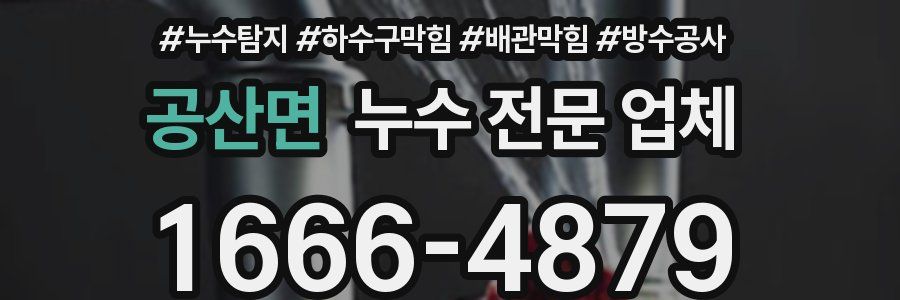 공산면 누수 전문 업체