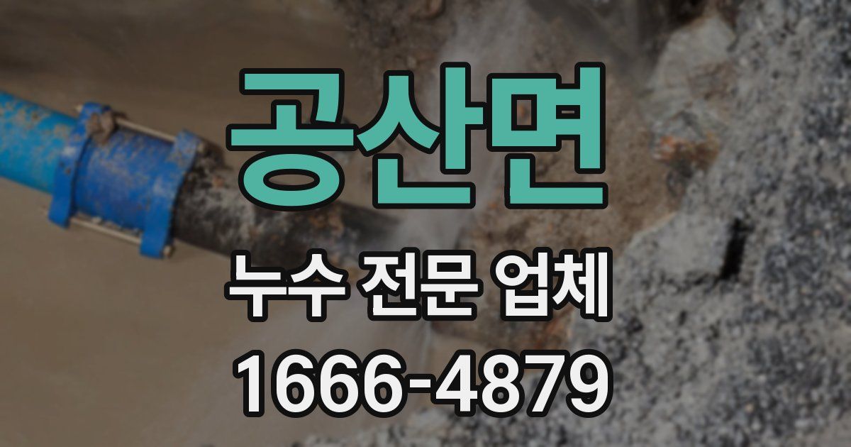 공산면 누수 전문 업체