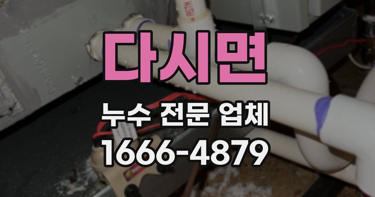 다시면 누수 전문 업체