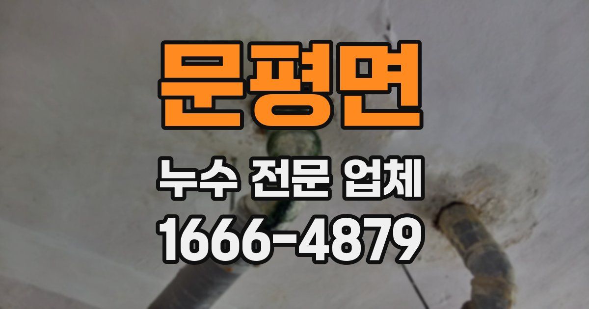 문평면 누수 전문 업체