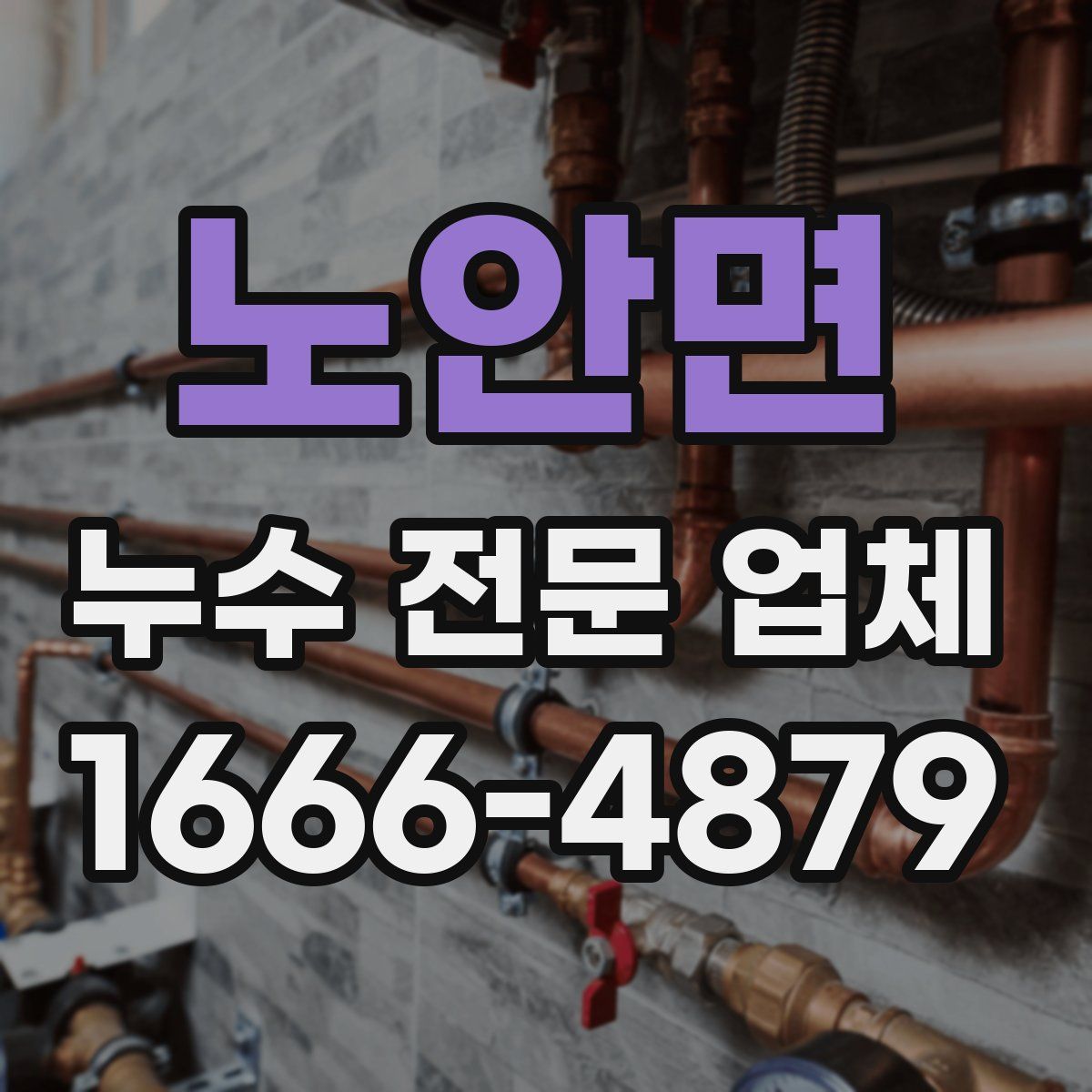 노안면 누수 전문 업체
