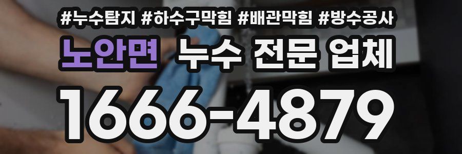 노안면 누수 전문 업체
