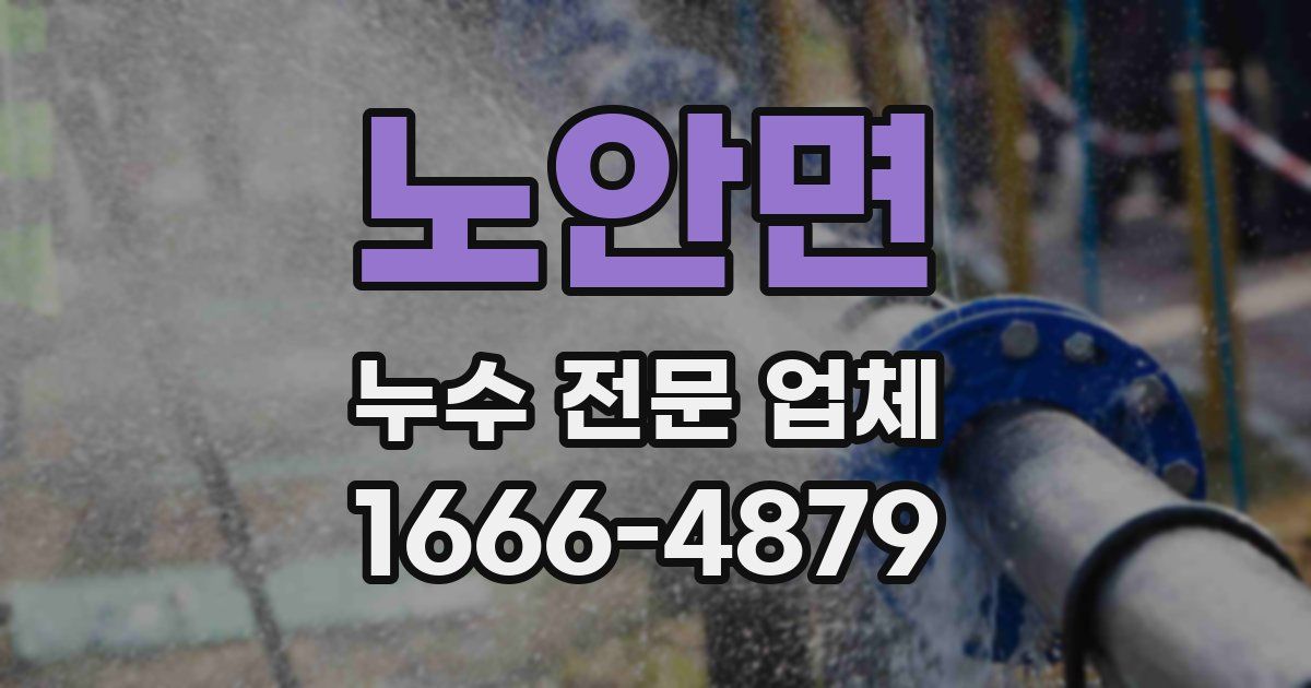 노안면 누수 전문 업체
