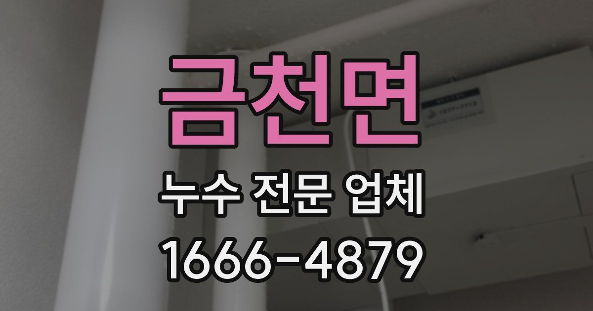 금천면 누수 전문 업체