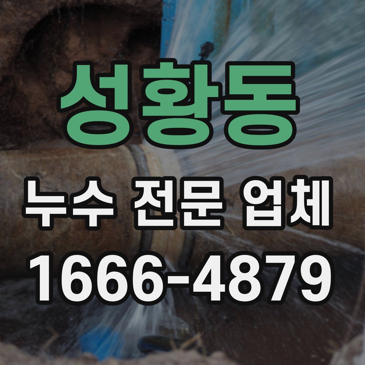 성황동 누수 전문 업체