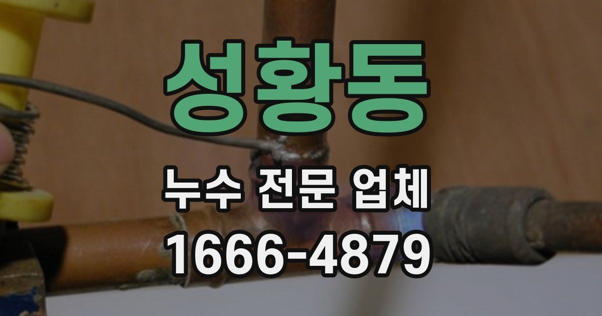 성황동 누수 전문 업체