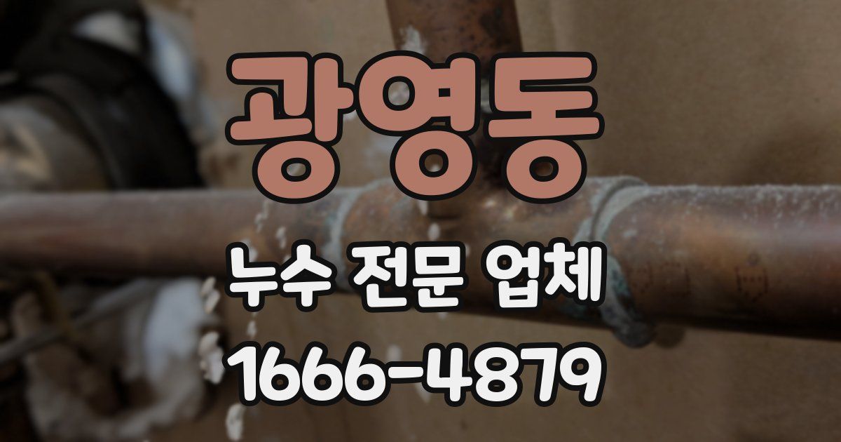 광영동 누수 전문 업체