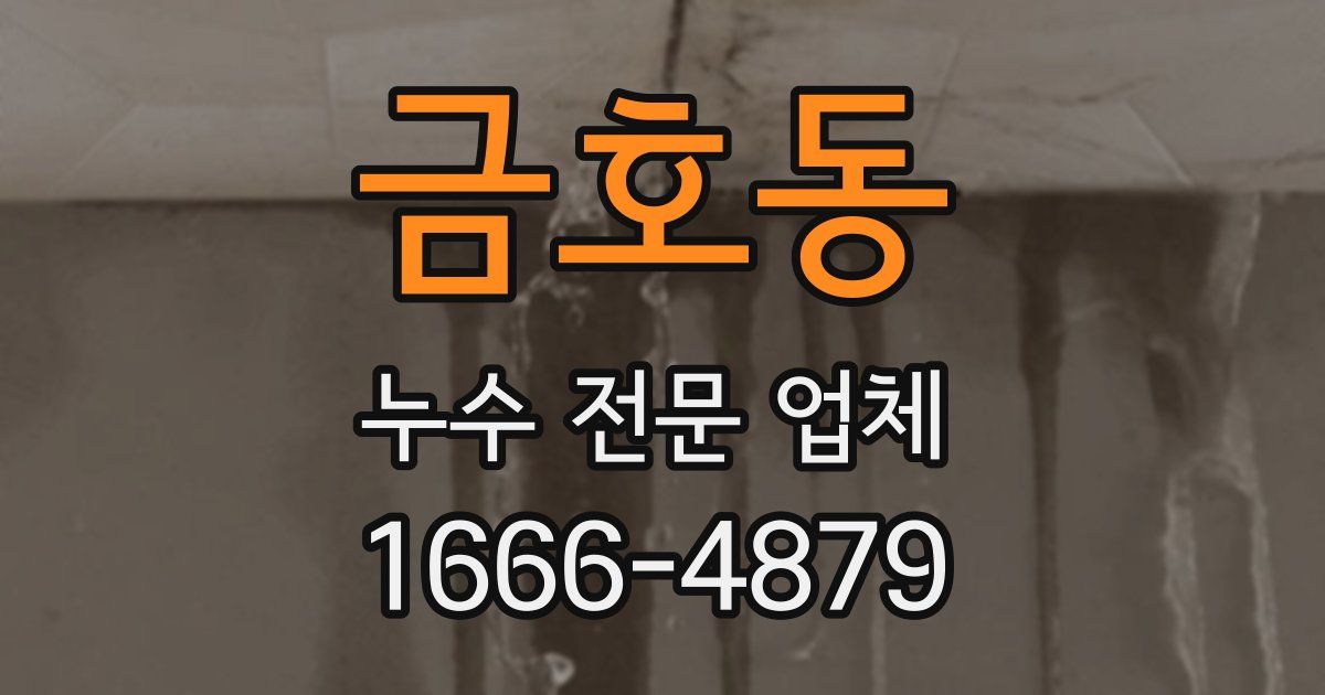 금호동 누수 전문 업체