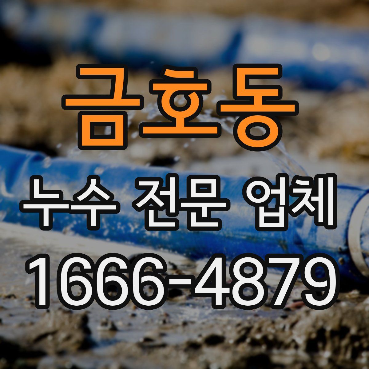 금호동 누수 전문 업체
