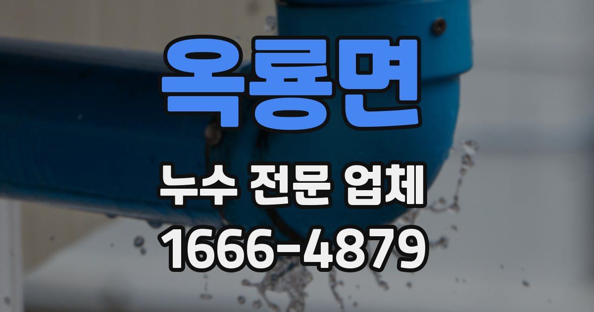 옥룡면 누수 전문 업체
