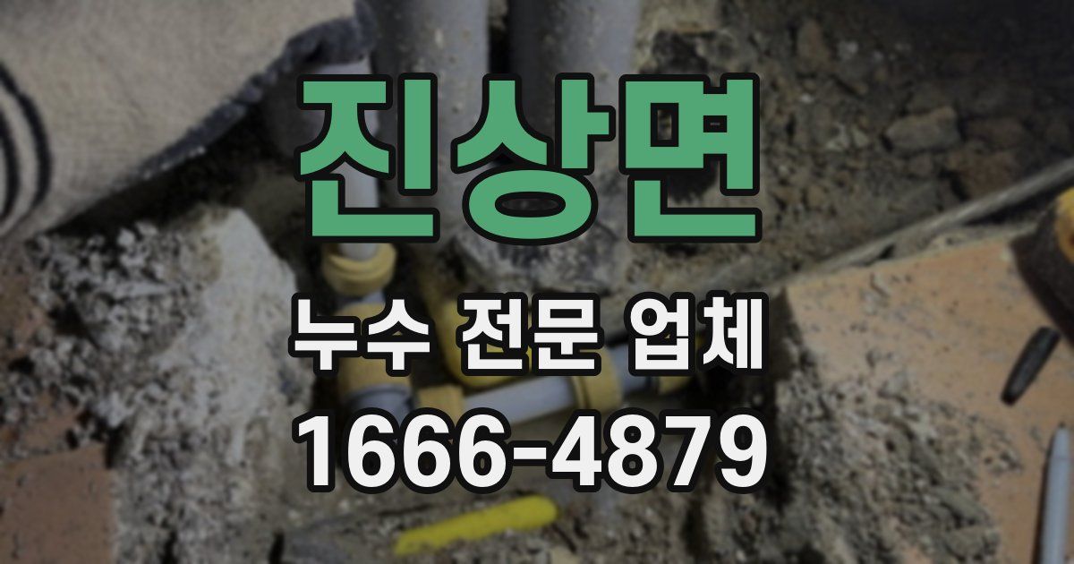 진상면 누수 전문 업체
