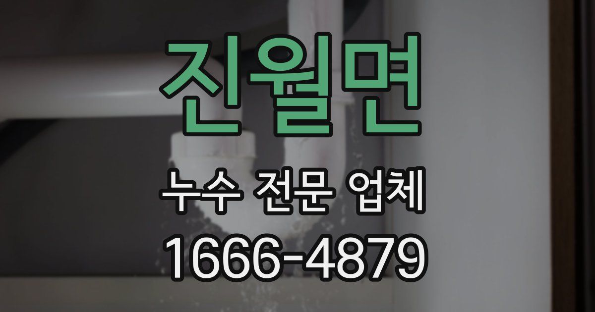 진월면 누수 전문 업체