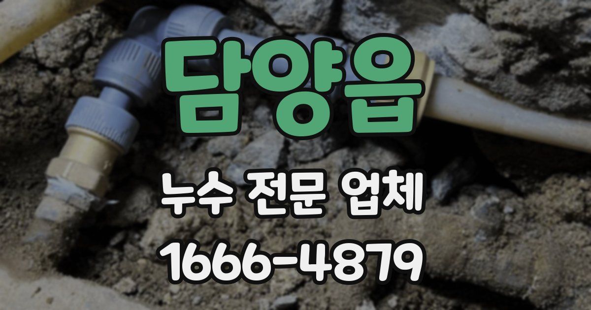 담양읍 누수 전문 업체