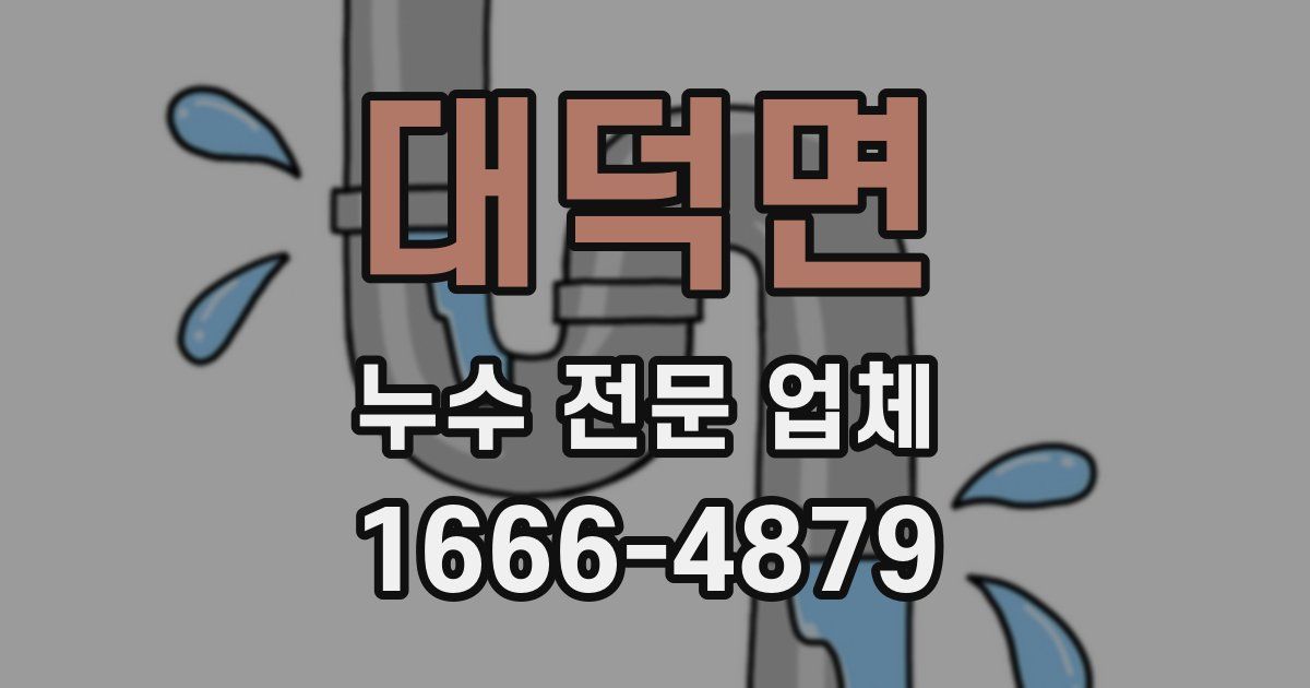 대덕면 누수 전문 업체